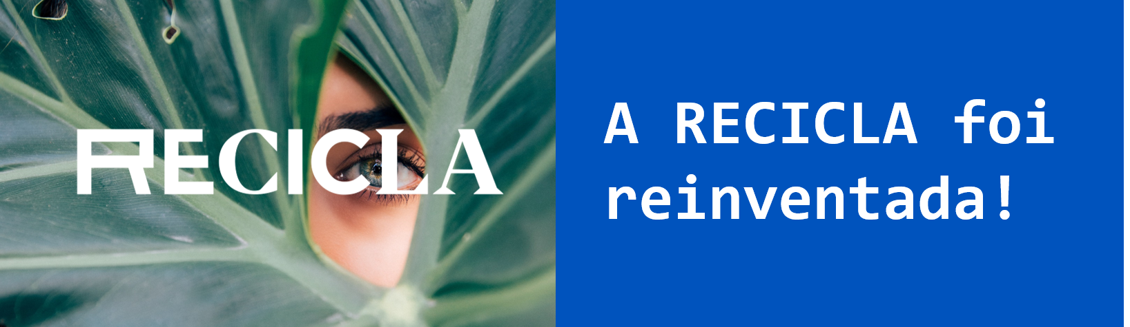 Sociedade Ponto Verde dá nova cara à revista “Recicla”