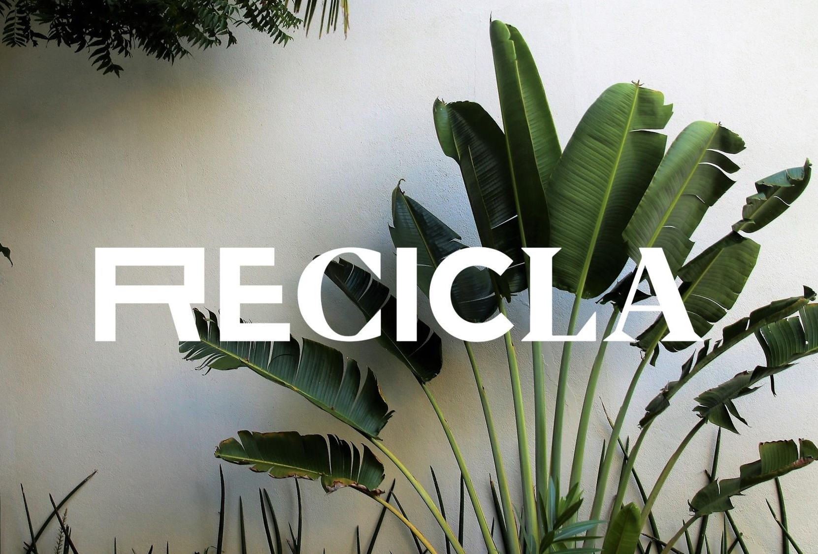 A Recicla regressa no Digital com mais conteúdos e imagem renovada