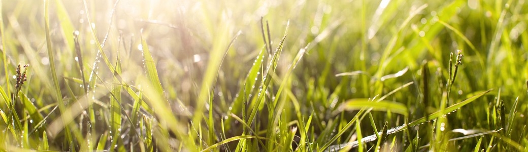 Sociedade Ponto Verde na Green Business Week