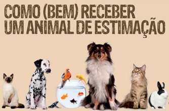 Como (bem) receber um animal de estimação