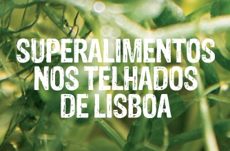 Super alimentos nos telhados de Lisboa