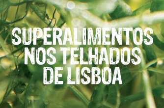 Super alimentos nos telhados de Lisboa