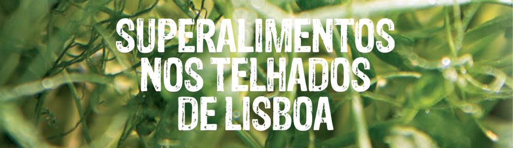 Super alimentos nos telhados de Lisboa