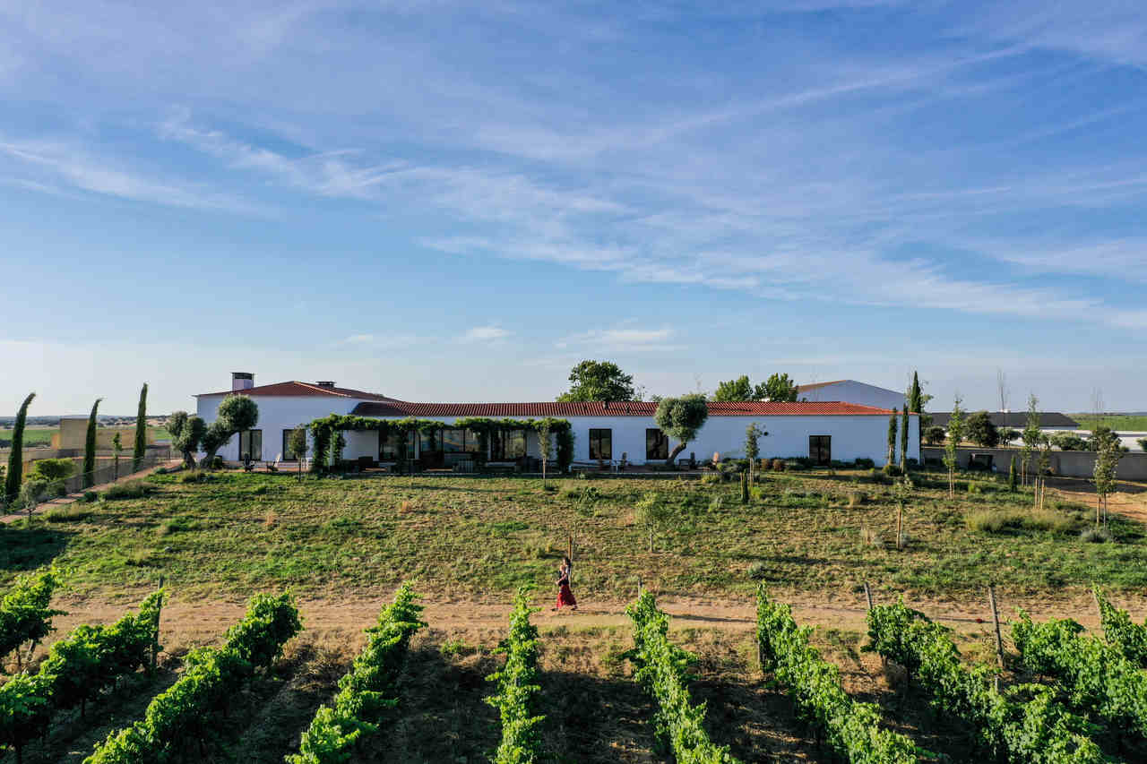 Esporão restaurante com estrela Michelin verde
