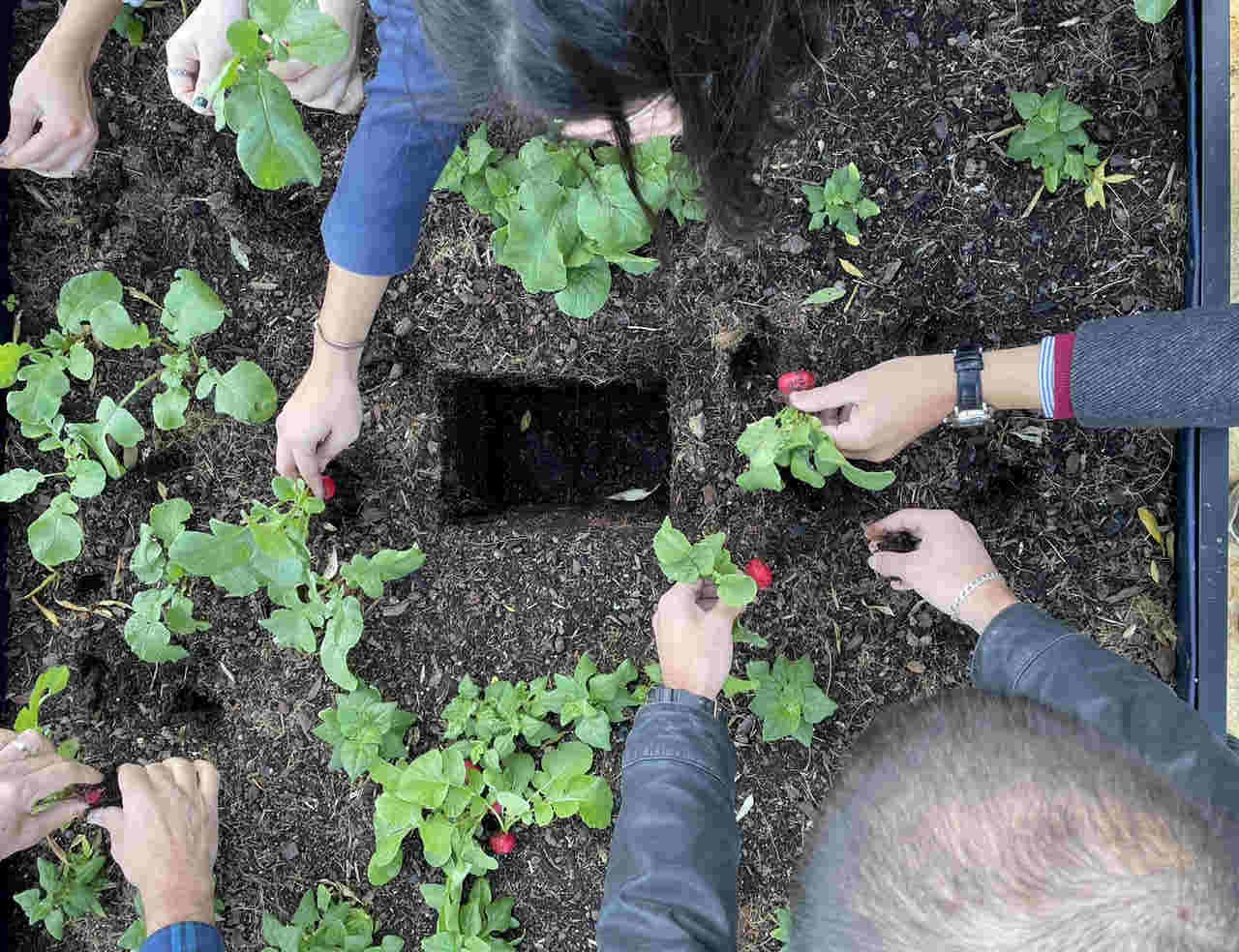 Fechar o ciclo da alimentação
