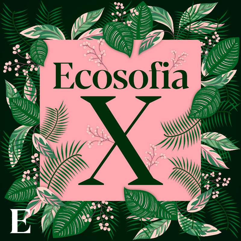 Podcast sobre a sustentabilidade do planeta